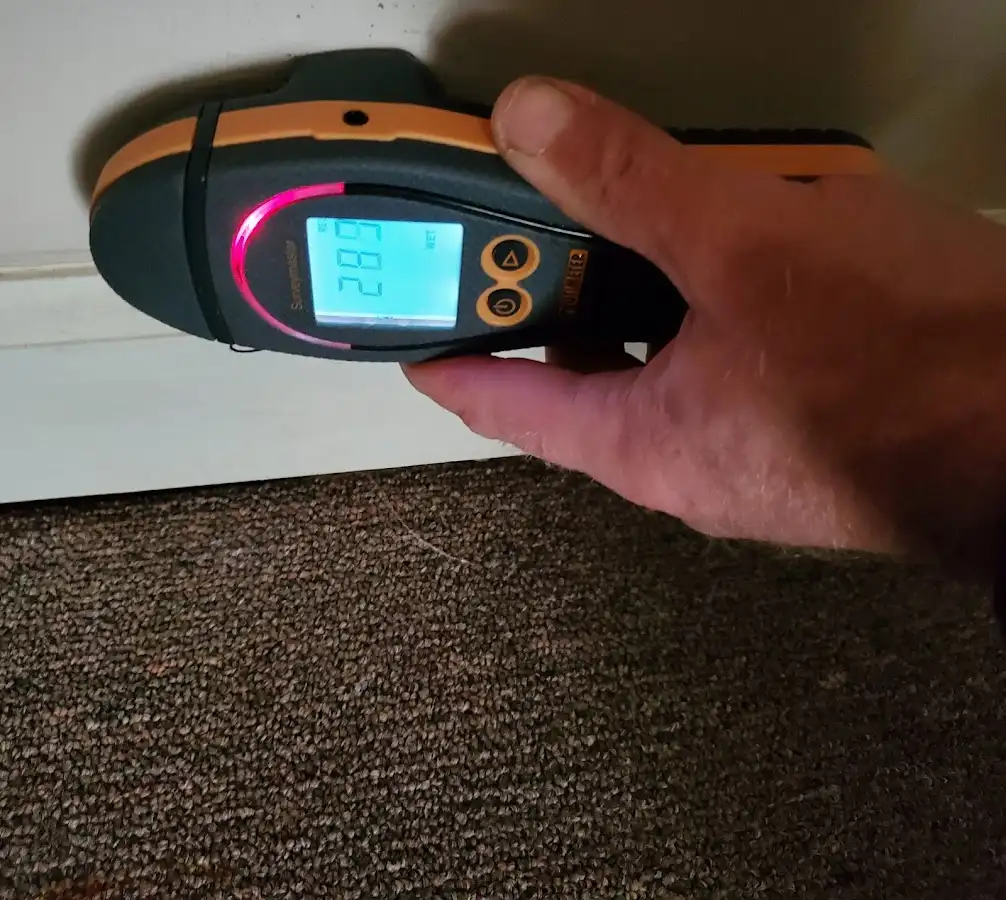Moisture detection at baseboard during Mold Inspection & Testing in Kingsbury